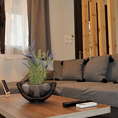 Apartment Meteora's Unique Gem Kastraki (Trikala)