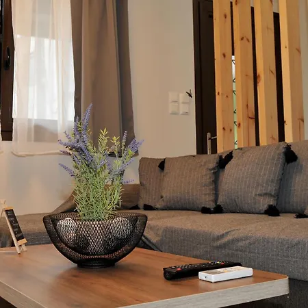 Apartment Meteora's Unique Gem Kastraki (Trikala)